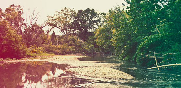 BodyImg_RestrictedLands_ChartiersGreenway